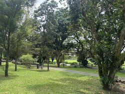 Blk 113 Potong Pasir Avenue 1 (Toa Payoh), HDB 4 Rooms #497347581